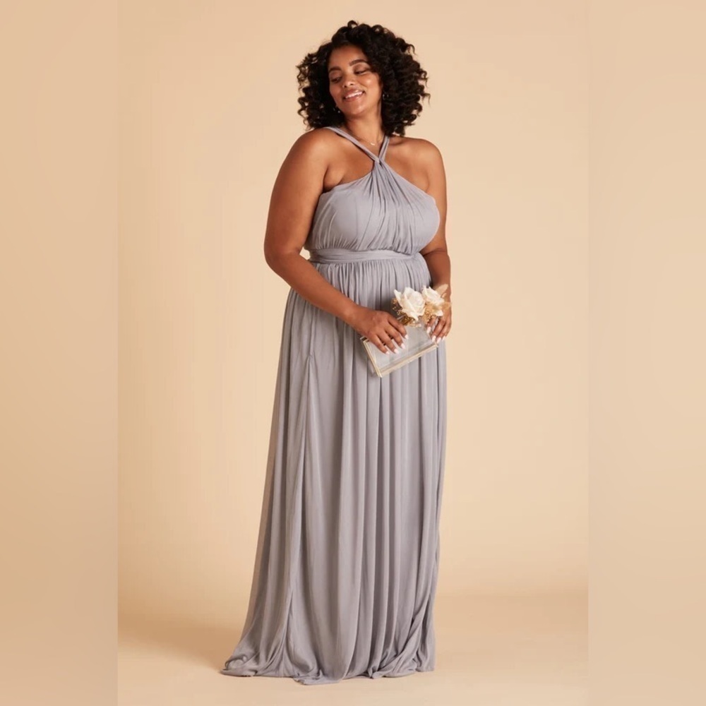 NWT Birdy Grey Kiko Dress in Mesh Silver